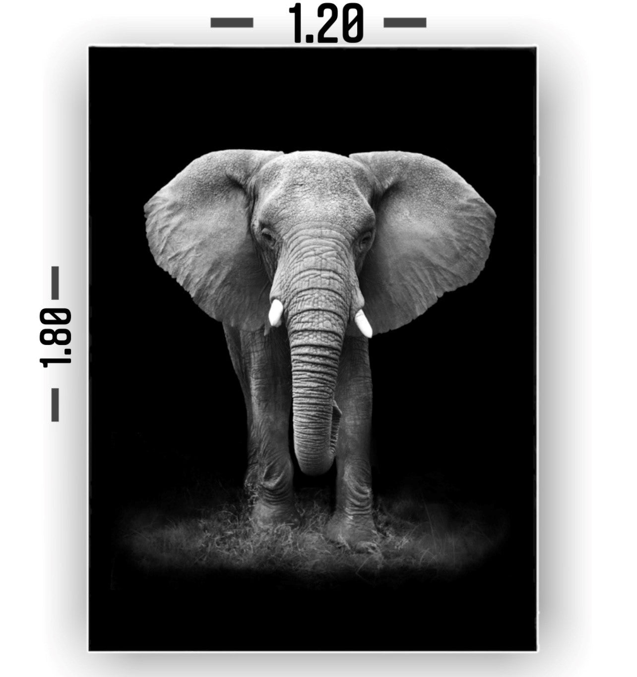 Cuadro Decorativo tipo Marmol Elefante Black 180 x 120