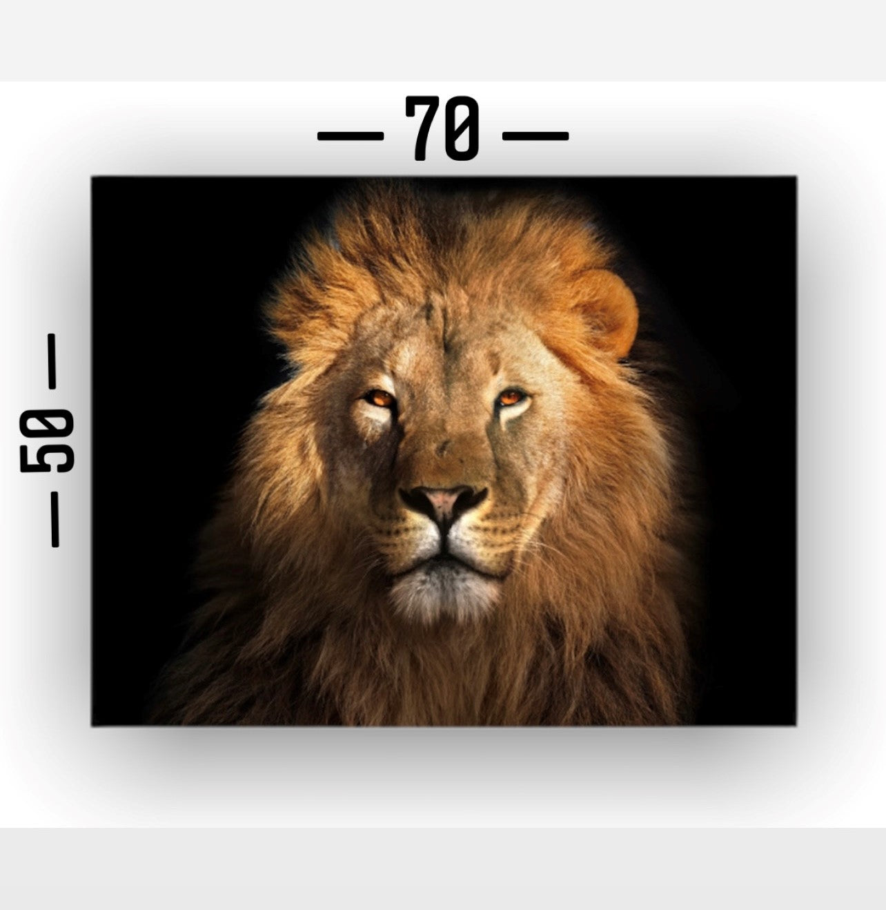 Cuadro Decorativo tipo Marmol Cara Leon Rafe 50 x 70