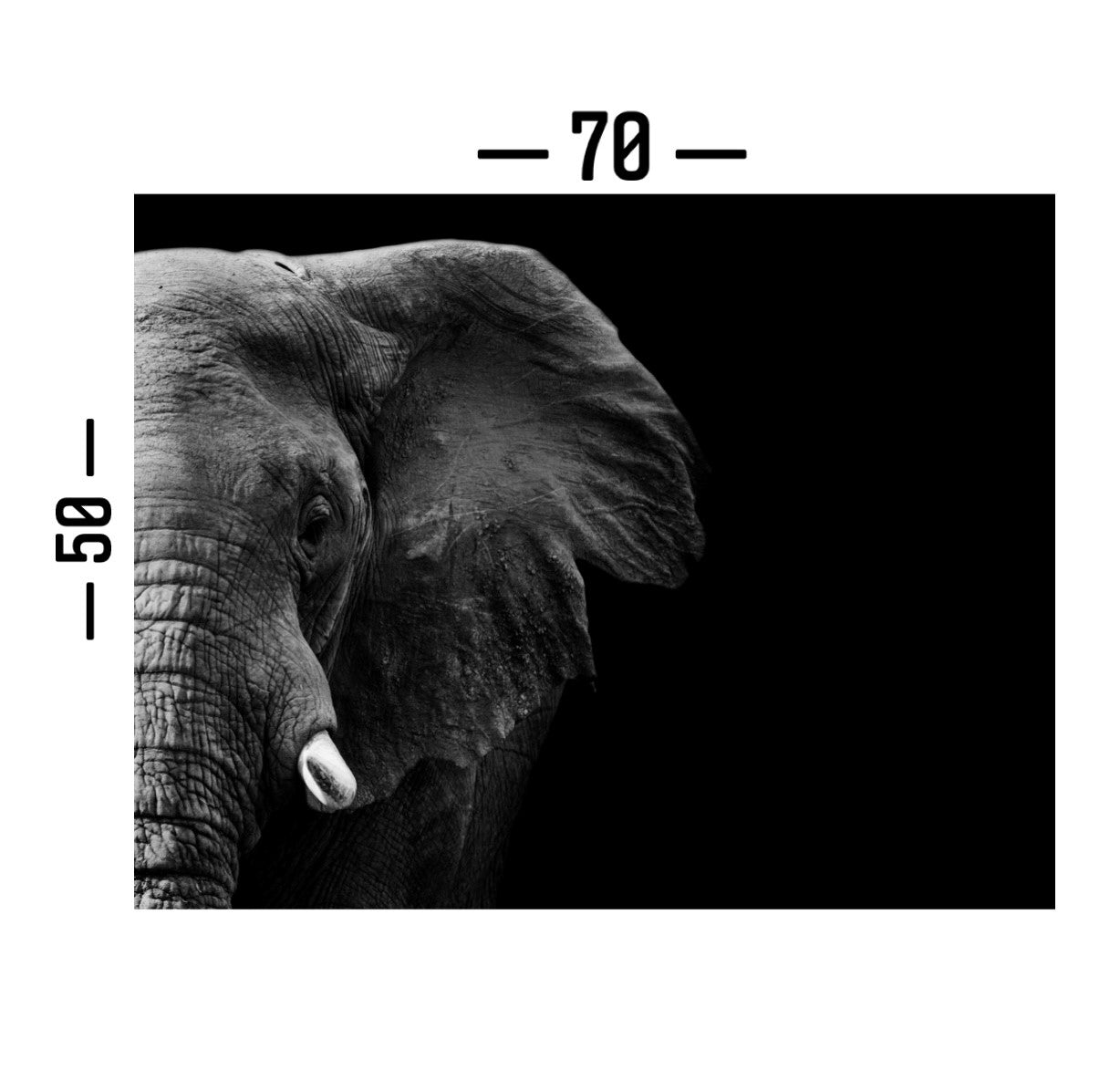 Cuadro Decorativo tipo Marmol Cara De Elefante 50 x 70