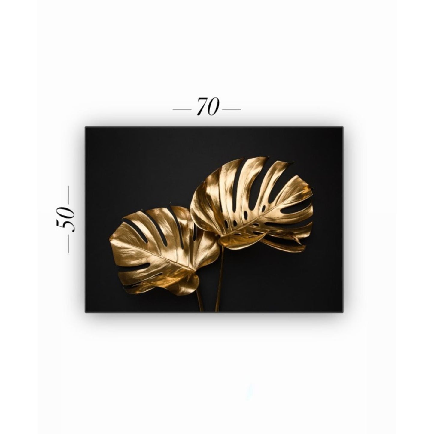 Cuadro Decorativo tipo Marmol Planta Mostera Gold 50 x 70