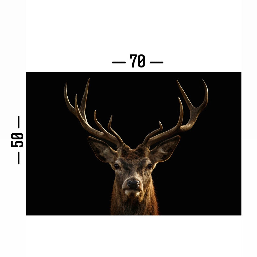 Cuadro Decorativo tipo Marmol Cara De Venado 50 x 70