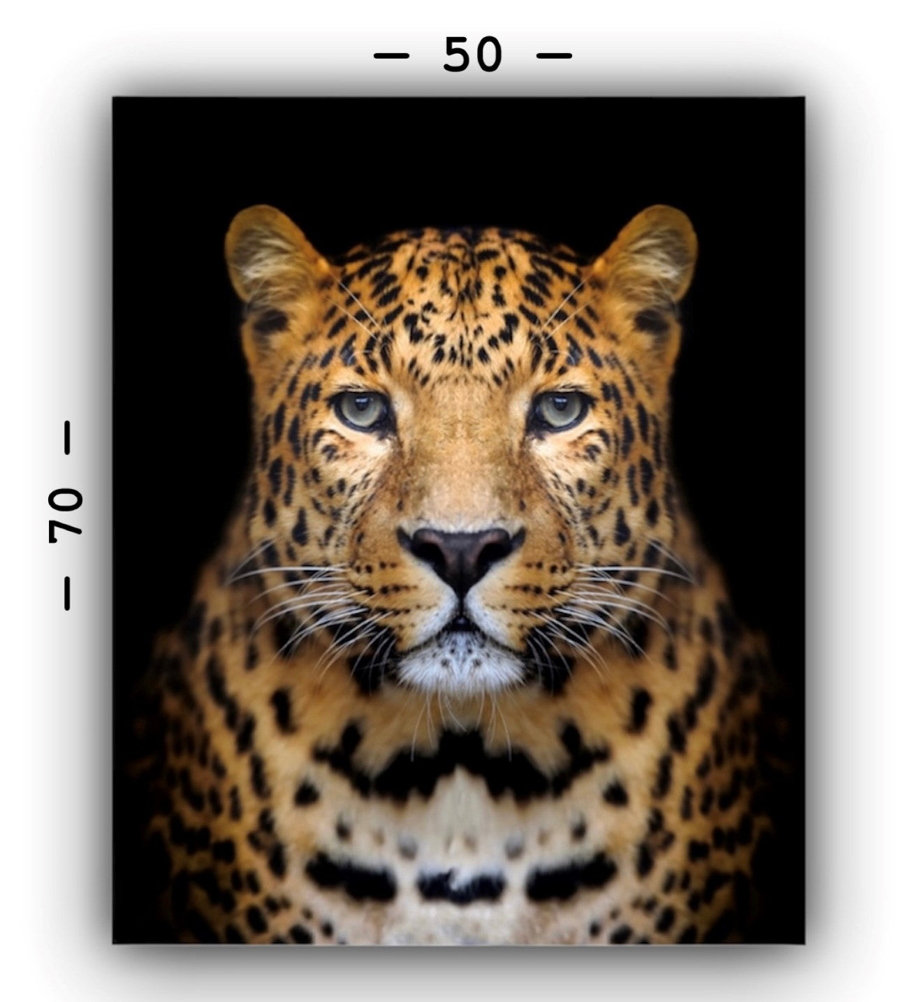 Cuadro Decorativo tipo Marmol Cara Leopardo Rafe 70 x 50