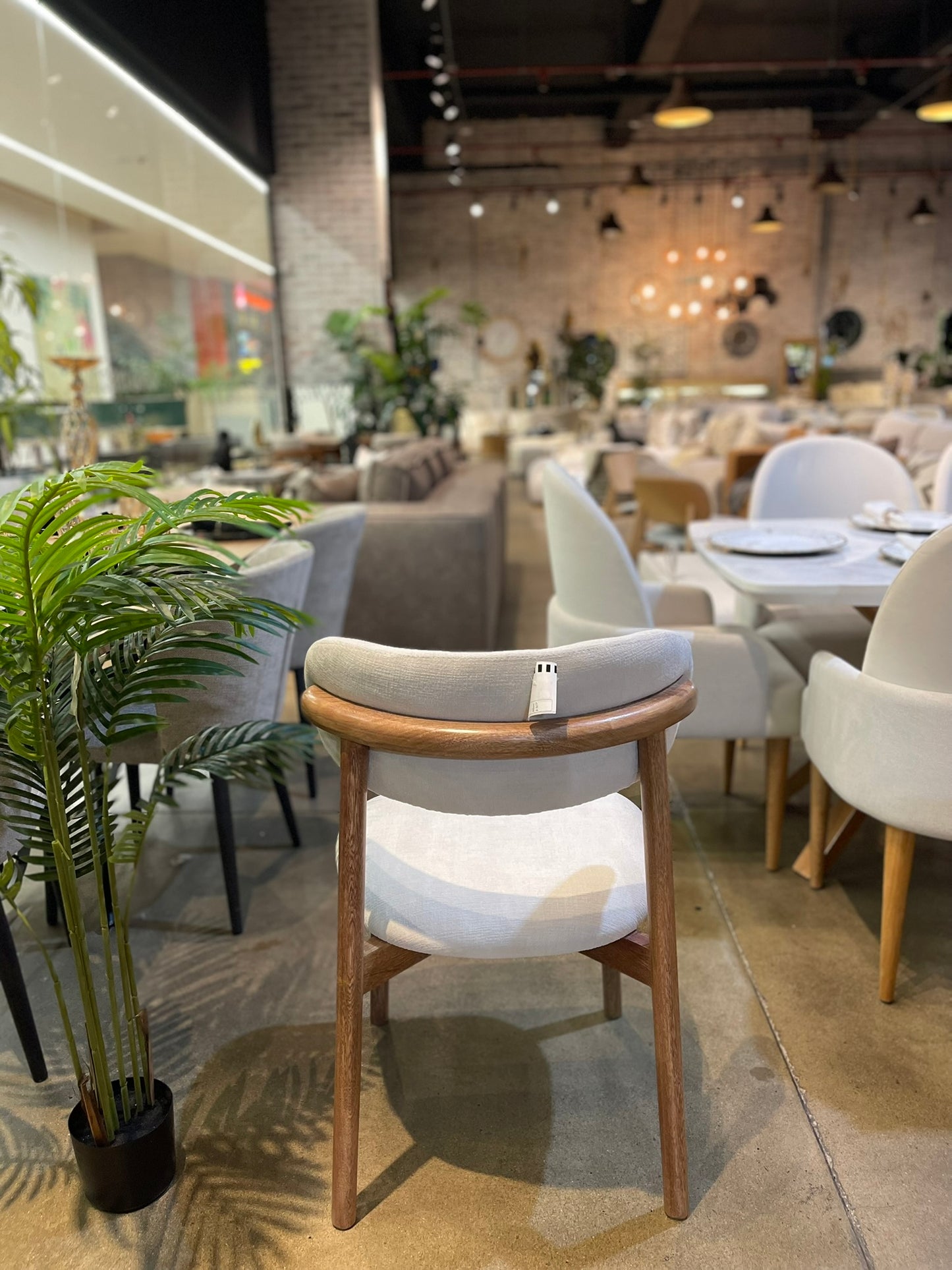 Silla de Comedor Nativa en Roble