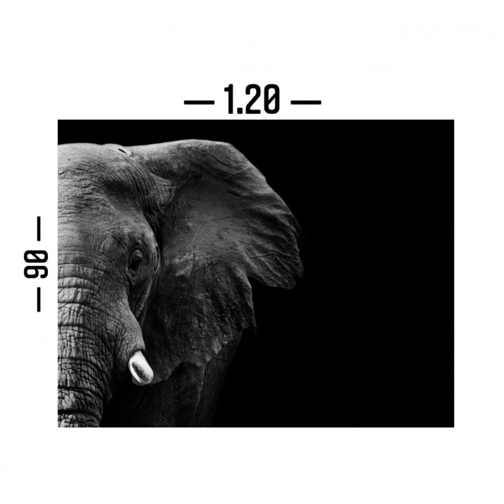 Cuadro Decorativo tipo Marmol Cara De Elefante 180 x 90