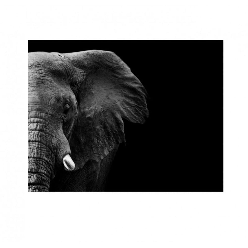 Cuadro Decorativo tipo Marmol Cara De Elefante 180 x 90