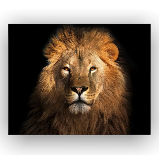 Cuadro Decorativo tipo Marmol Cara Leon Rafe  50 x 70