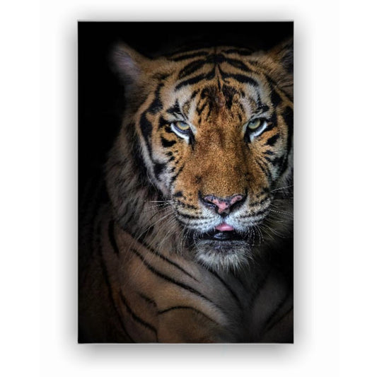 Cuadro Decorativo tipo Marmol Cara Tigre Rafe 180 x 120