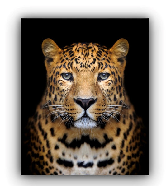 Cuadro Decorativo tipo Marmol Cara Leopardo Rafe 70 x 50