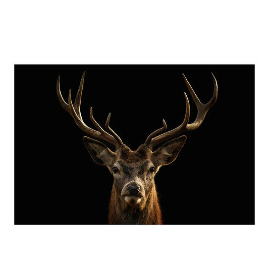Cuadro Decorativo tipo Marmol Cara De Venado 120 x 180