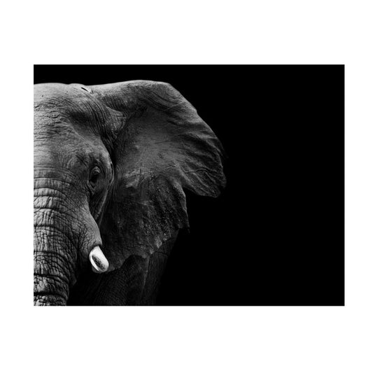 Cuadro en MDF tipo Marmol Cara Elefante