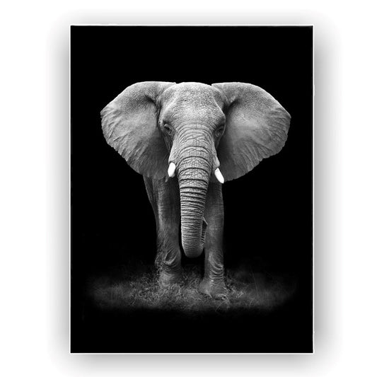 Cuadro Decorativo tipo Marmol Elefante Black  180 x 120