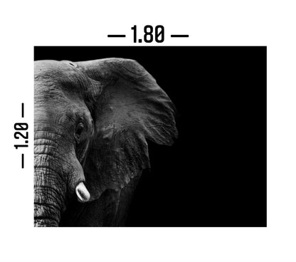 Cuadro Decorativo tipo Marmol Cara Elefante 120 x 180