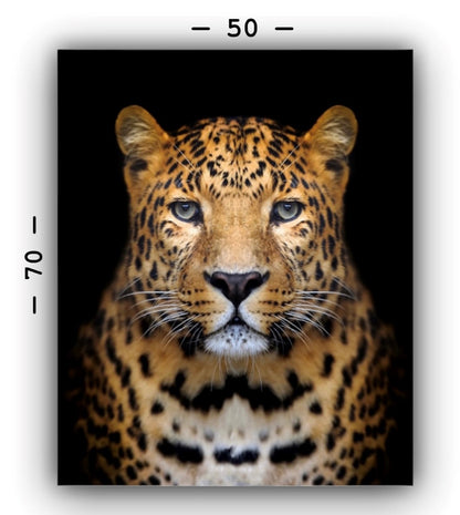 Cuadro Decorativo tipo Marmol Cara Leopardo Rafe 70 x 50