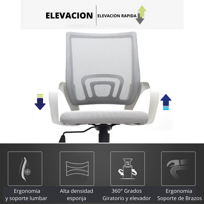 Silla De Oficina Berlin Premium Gris Blanco
