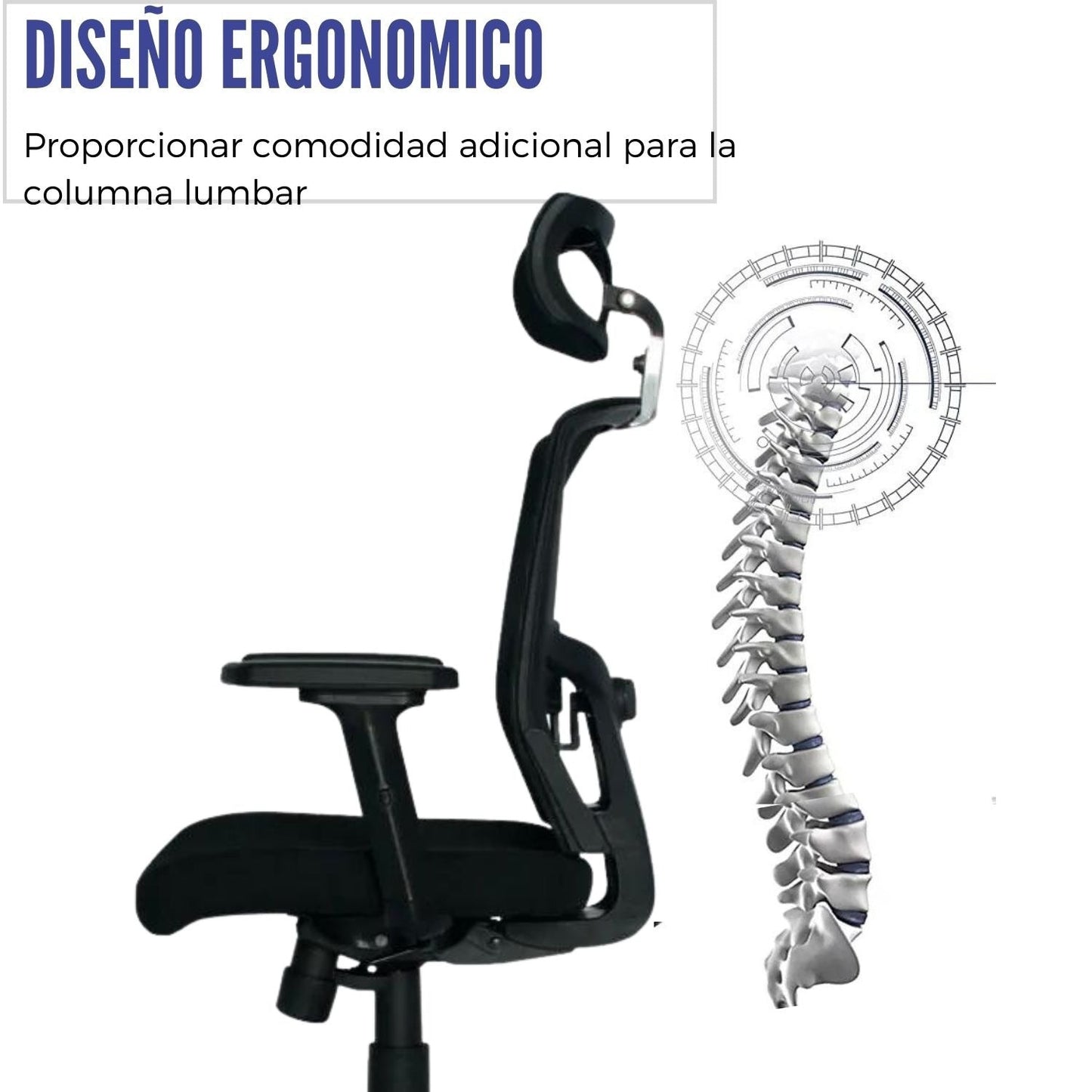 Silla de Oficina Siena Premium Negro