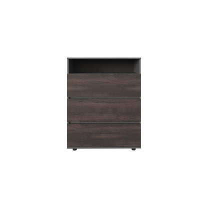 Organizador Alpine Wengue