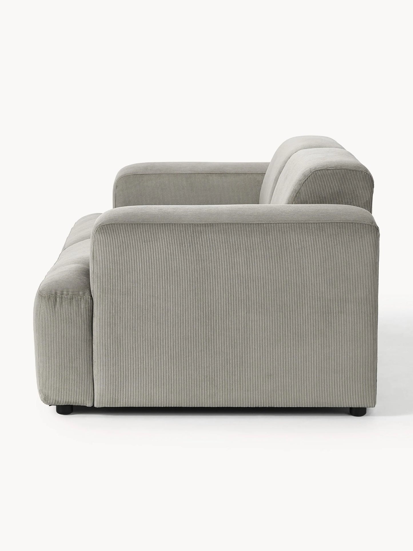 Sofa Louvre Gris 2 Puestos con Diseño Contemporáneo y Minimalista