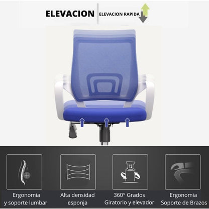 Silla De Oficina Berlin Premium Azul