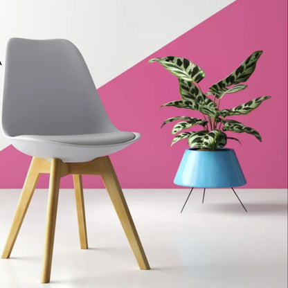 Silla Tapizada Vernaza Gris