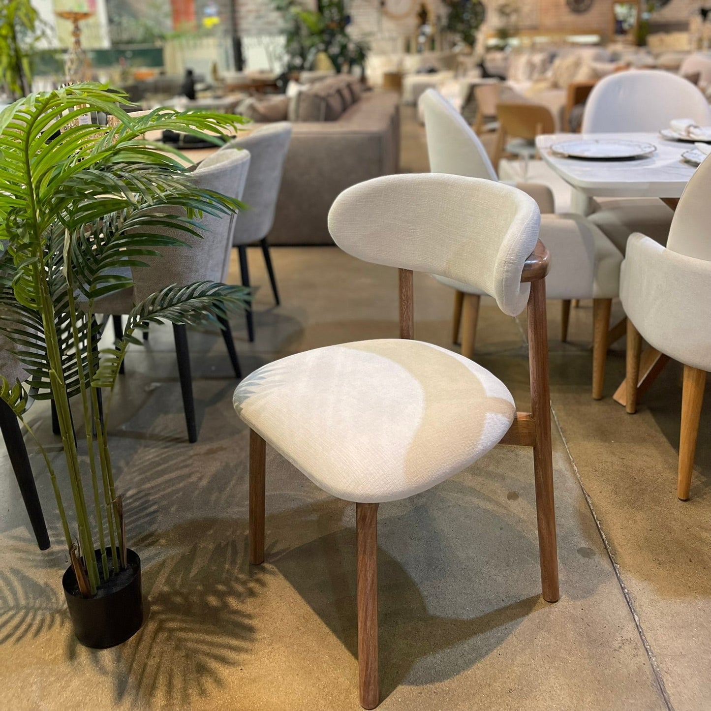 Silla de Comedor Nativa en Roble